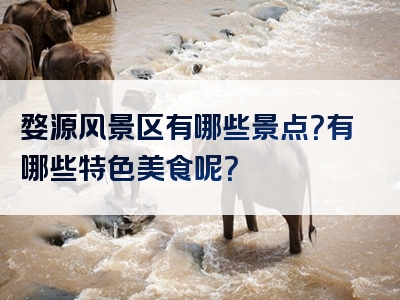 婺源风景区有哪些景点？有哪些特色美食呢？