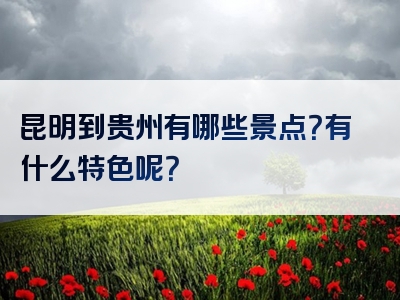 昆明到贵州有哪些景点？有什么特色呢？