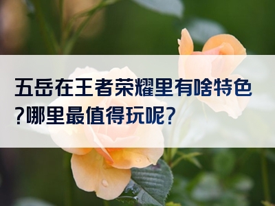 五岳在王者荣耀里有啥特色？哪里最值得玩呢？