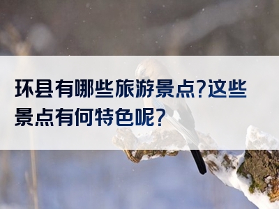 环县有哪些旅游景点？这些景点有何特色呢？