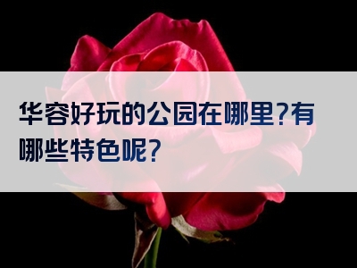 华容好玩的公园在哪里？有哪些特色呢？