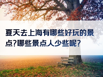 夏天去上海有哪些好玩的景点？哪些景点人少些呢？