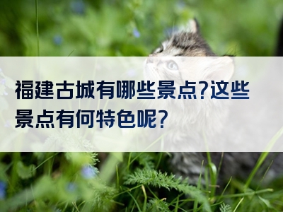 福建古城有哪些景点？这些景点有何特色呢？