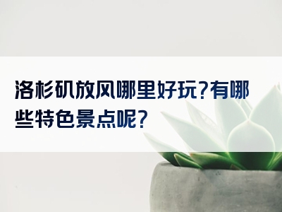 洛杉矶放风哪里好玩？有哪些特色景点呢？