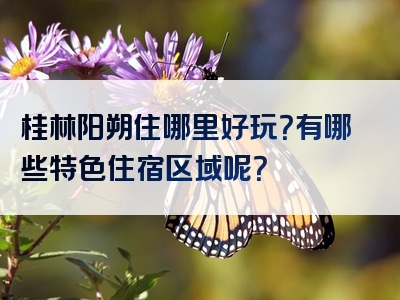 桂林阳朔住哪里好玩？有哪些特色住宿区域呢？