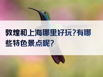 敦煌和上海哪里好玩？有哪些特色景点呢？
