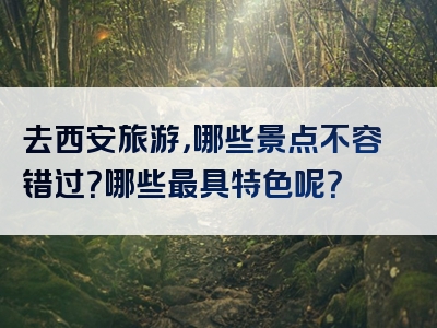 去西安旅游，哪些景点不容错过？哪些最具特色呢？