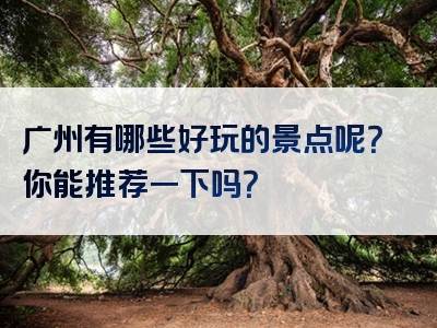 广州有哪些好玩的景点呢？你能推荐一下吗？
