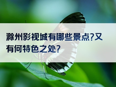 滁州影视城有哪些景点？又有何特色之处？