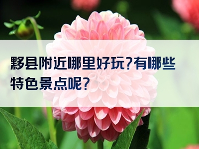 黟县附近哪里好玩？有哪些特色景点呢？
