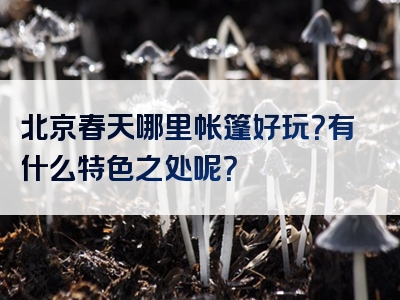 北京春天哪里帐篷好玩？有什么特色之处呢？