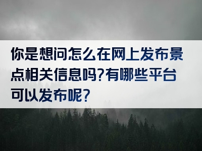你是想问怎么在网上发布景点相关信息吗？有哪些平台可以发布呢？