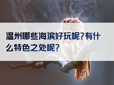 温州哪些海滨好玩呢？有什么特色之处呢？