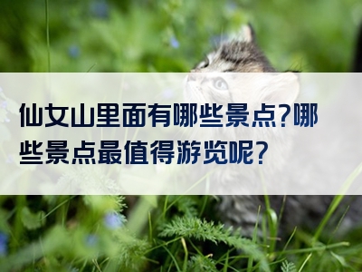 仙女山里面有哪些景点？哪些景点最值得游览呢？