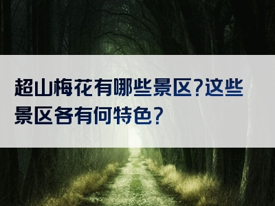 超山梅花有哪些景区？这些景区各有何特色？