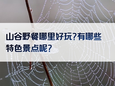 山谷野餐哪里好玩？有哪些特色景点呢？