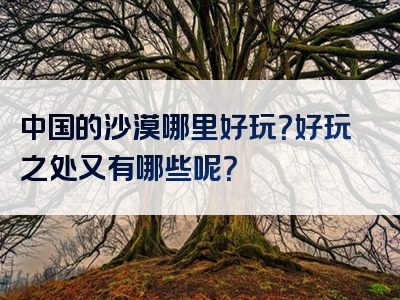 中国的沙漠哪里好玩？好玩之处又有哪些呢？