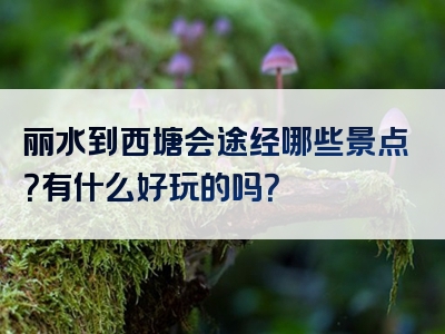 丽水到西塘会途经哪些景点？有什么好玩的吗？