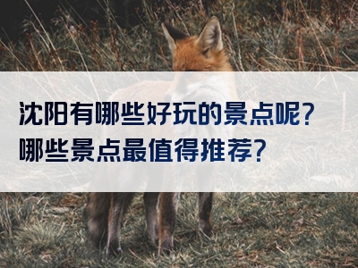 沈阳有哪些好玩的景点呢？哪些景点最值得推荐？