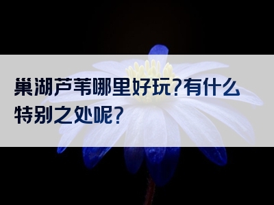 巢湖芦苇哪里好玩？有什么特别之处呢？