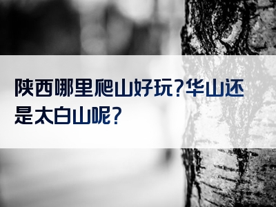 陕西哪里爬山好玩？华山还是太白山呢？