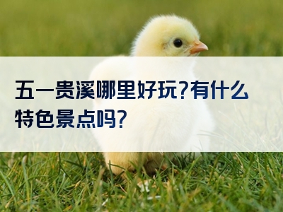 五一贵溪哪里好玩？有什么特色景点吗？