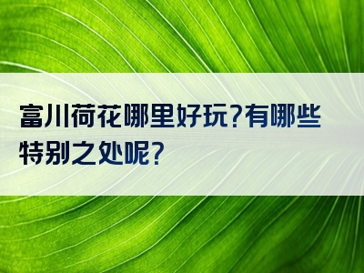 富川荷花哪里好玩？有哪些特别之处呢？