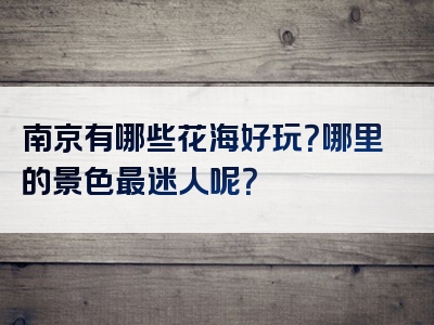南京有哪些花海好玩？哪里的景色最迷人呢？