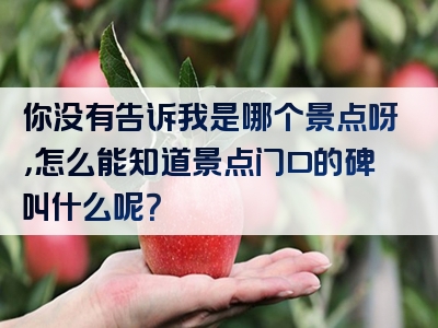 你没有告诉我是哪个景点呀，怎么能知道景点门口的碑叫什么呢？