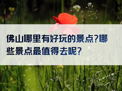 佛山哪里有好玩的景点？哪些景点最值得去呢？