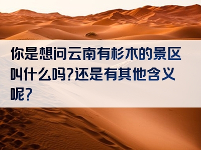 你是想问云南有杉木的景区叫什么吗？还是有其他含义呢？