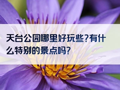 天台公园哪里好玩些？有什么特别的景点吗？