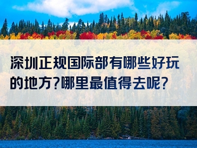 深圳正规国际部有哪些好玩的地方？哪里最值得去呢？