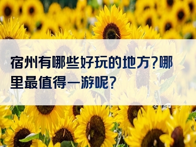 宿州有哪些好玩的地方？哪里最值得一游呢？