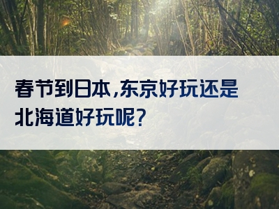 春节到日本，东京好玩还是北海道好玩呢？