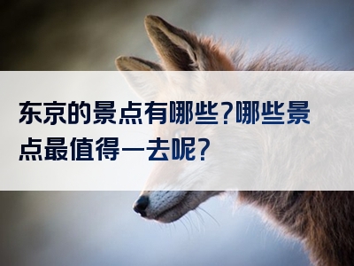东京的景点有哪些？哪些景点最值得一去呢？