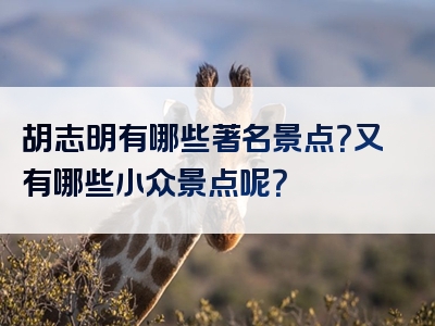 胡志明有哪些著名景点？又有哪些小众景点呢？
