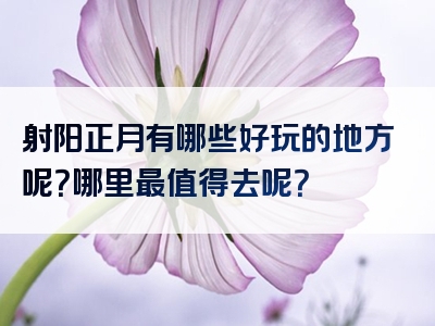 射阳正月有哪些好玩的地方呢？哪里最值得去呢？