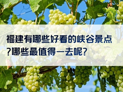 福建有哪些好看的峡谷景点？哪些最值得一去呢？