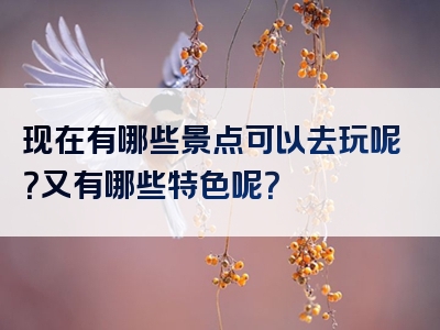 现在有哪些景点可以去玩呢？又有哪些特色呢？