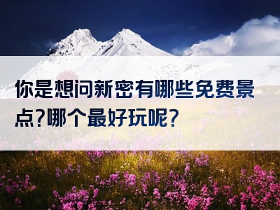 你是想问新密有哪些免费景点？哪个最好玩呢？