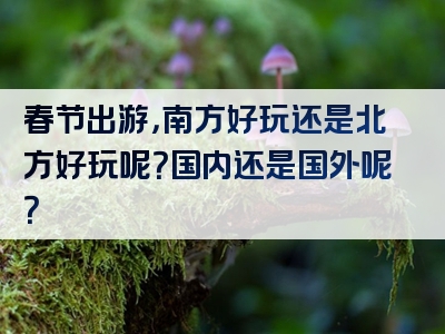 春节出游，南方好玩还是北方好玩呢？国内还是国外呢？
