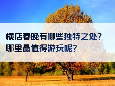 横店春晚有哪些独特之处？哪里最值得游玩呢？