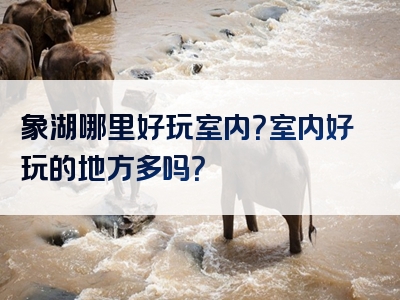象湖哪里好玩室内？室内好玩的地方多吗？