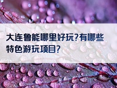 大连鲁能哪里好玩？有哪些特色游玩项目？
