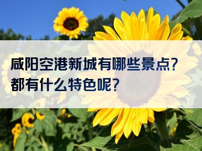 咸阳空港新城有哪些景点？都有什么特色呢？