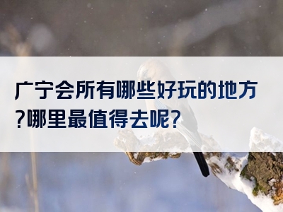 广宁会所有哪些好玩的地方？哪里最值得去呢？