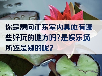 你是想问正东室内具体有哪些好玩的地方吗？是娱乐场所还是别的呢？