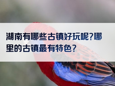 湖南有哪些古镇好玩呢？哪里的古镇最有特色？