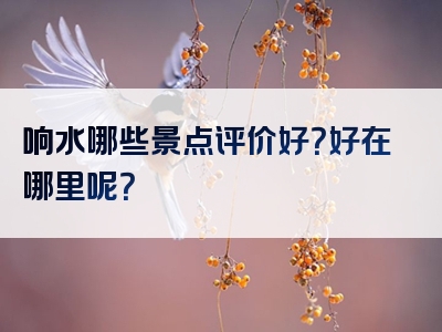 响水哪些景点评价好？好在哪里呢？